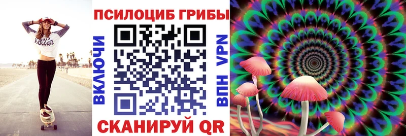 Галлюциногенные грибы Psilocybe Купить закладки Карачев